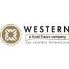 WESTERN ENTERPRISES, CK-26, B SIZE X 1/4" I.D. HOSEREPAIR KIT view 2