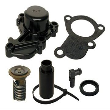 THERMOSTAT KIT | GLM Part Number: 13141; Mercury Part Number: 850055A2