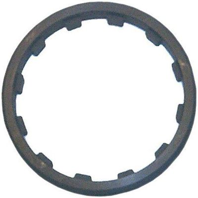 Sierra International, 18-3751, Spanner Nut
