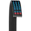 Dayco 5040370 Serpentine Belt view 1