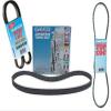 Dayco 5061020 Serpentine Belt, Black view 1