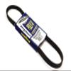 Continental OE Technology Series 4060395 6-Rib, 39.5" Multi-V Belt view 1
