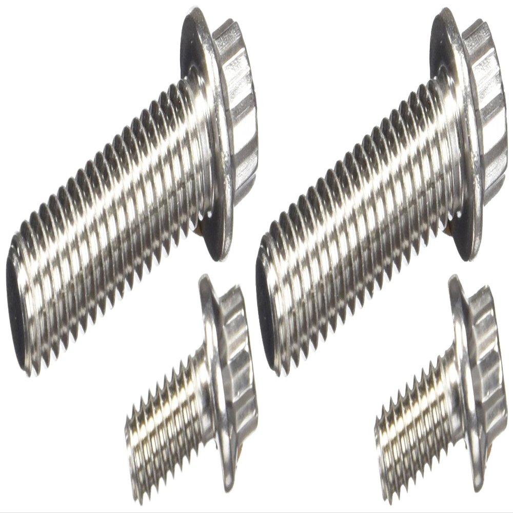ARP 4301601 Stainless 300 12-Point Fuel Pump Bolt Kit