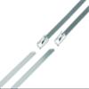Design Engineering 010202 14" Stainless Steel Locking Ties (Pack of 5) view 4