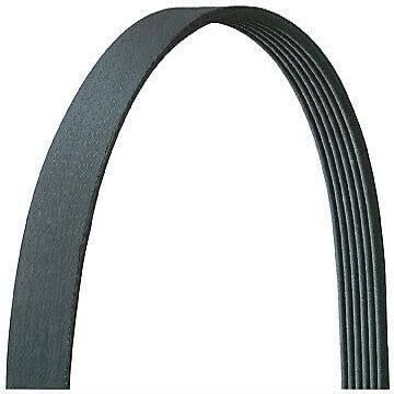 Dayco Drive Rite 5060358DR Serpentine Belt