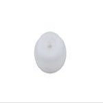 Genuine Turn Signal Assembly