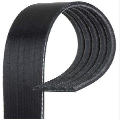 Roadmax 5K480AP Serpentine Belt