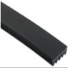 Roadmax 5K480AP Serpentine Belt view 2