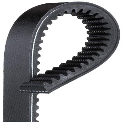 ACDelco Gold T22517 (88933269) Truck and Bus Notched V-Belt