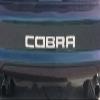 1996-98 & 01 FORD MUSTANG COBRA REAR BUMPER VINYL INSERTS Decals Letters - 56 Colors to choose from (Color :: Silver) view 1