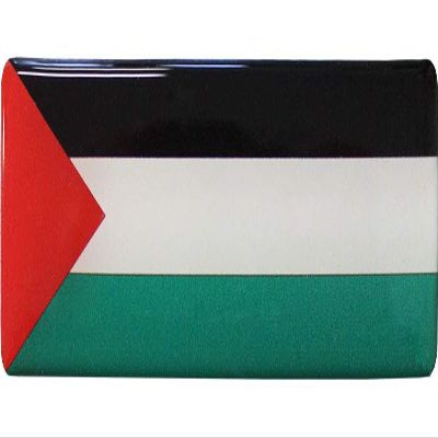Flagline Palestine Flag 3D Domed Decal Sticker (Long), 1 inch x 4.25 inch - Made in the USA