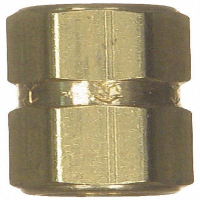 Carter Fuel Pump Check Valve Automotive Replacement Compatible with Recreational Vehicle (169-1002)