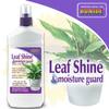 Bonide 037321001164 116 12-Ounce Leaf Shine, Multicolor view 4