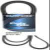 Dayco 5060827 Serpentine Belt , Black view 1