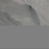 Coverking Custom Fit Car Cover for Select Volkswagen Fox Models - Triguard (Gray) view 3