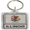 Flagline Illinois - Lucite Keyring view 1