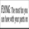 Flying: The Most Fun You Can Have with Your Pants on Bumper Sticker view 1