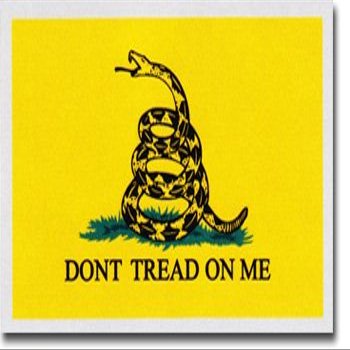 Gadsden (Dont Tread on Me Flag) - Auto Decal