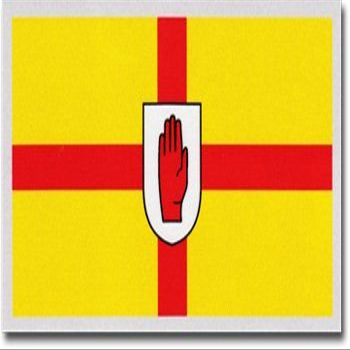 Flagline Ulster - Auto Decal
