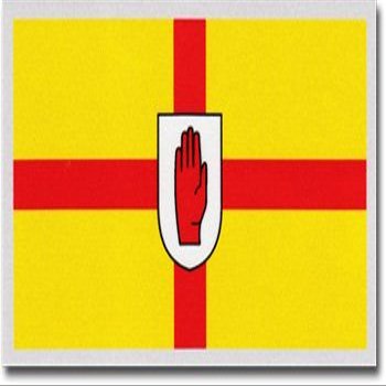 Flagline Ulster - Auto Decal