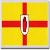 Flagline Ulster - Auto Decal view 1