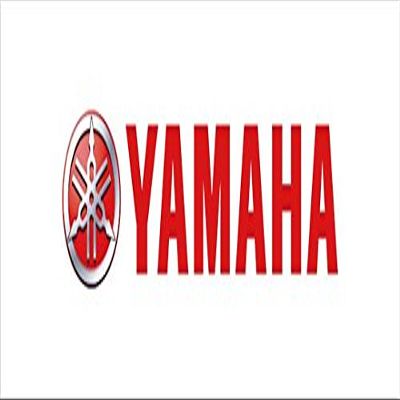 Yamaha GYT-0SS56-31-42 25MM REAR WHEEL CONV; GYT0SS563142