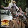 HILASON Bronc Bull Riding Genuine Leather Rodeo Western Chaps White Green Base | for Men and Women Unisex view 2