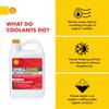 Shell Zone Dex-Cool Extended Life ELC Antifreeze + Coolant, Pre-Diluted 50/50 (1 Gallon, Single Pack) view 2