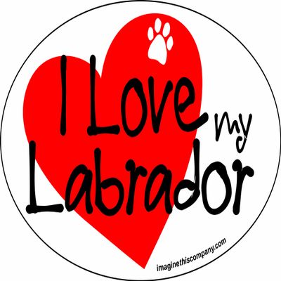 Imagine This Company I Love My Heart Oval Shaped Pet Magnet; Removable Magnets for Cars, Fridges, Lockers & More, Stylish Pet Inspired Car Accessories, 4 x 6 inches, 1 Item, White/Red, Lab
