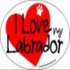 Imagine This Company I Love My Heart Oval Shaped Pet Magnet; Removable Magnets for Cars, Fridges, Lockers & More, Stylish Pet Inspired Car Accessories, 4 x 6 inches, 1 Item, White/Red, Lab view 1