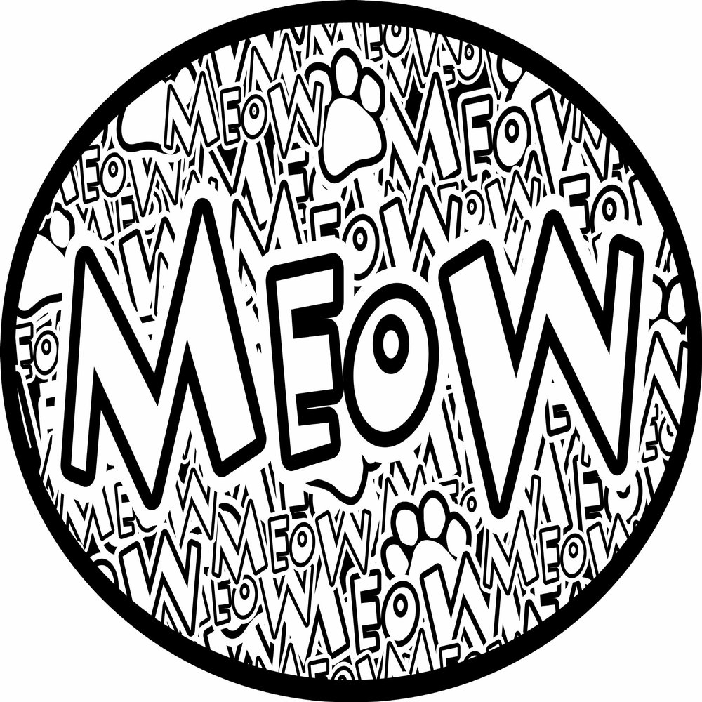 Imagine This 4-Inch by 6-Inch Car Magnet Oval, Crazy Meow