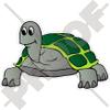 TORTOISE Land Turtle Reptile 5,1" (130mm) Vinyl Bumper Sticker, Decal view 1