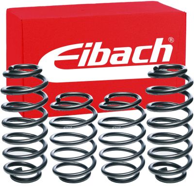 Eibach E10-25-001-05-22 Performance Pro-Kit Springs