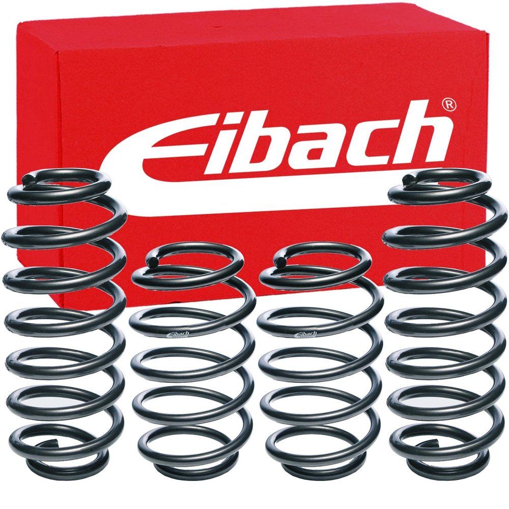 Eibach E10-25-001-05-22 Performance Pro-Kit Springs