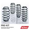 Eibach E10-25-001-05-22 Performance Pro-Kit Springs view 2
