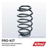 Eibach E10-25-001-05-22 Performance Pro-Kit Springs view 3
