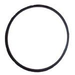 Sherwood Water Pump O-ring 15945-SHW