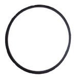 Sherwood Water Pump O-ring 15945-SHW