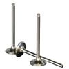 ProX Racing Parts 28.2423-1 Titanium Replacement Exhaust Valve view 1