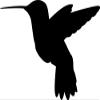 Hummingbird Silhouette (Black - Reverse Image - Large) Decal Sticker - Back Yard Bird Collection view 1