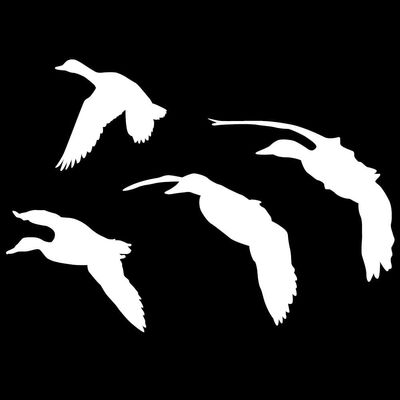 Ducks Jukin 5 (White - Reverse Image - Small) Decal Sticker - Waterfowl Collection
