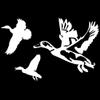 Ducks Jukin 12 (White - Reverse Image - Medium) Decal Sticker - Waterfowl Collection view 1