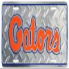 Florida Gators License Plate Tin Sign 6 x 12in view 1