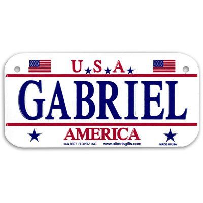 Gift House Gabriel USA Bike Plate - Made in USA, 3x6 Embossed Aluminum