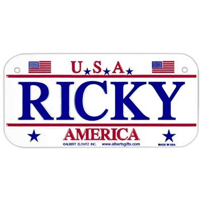 Gift House Ricky USA Bike Plate - Made in USA, 3"x6" Embossed Aluminum