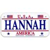 Gift House Hannah Use Bike Plate - Made in Use, 3X6 Embossed Aluminum view 1