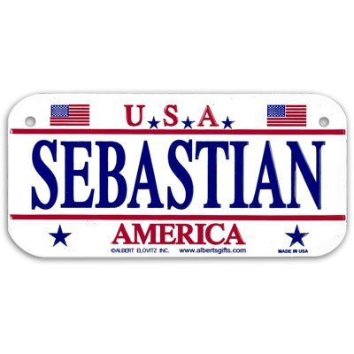 Gift House Sebastian USA Bike Plate - Made in USA, 3"x6" Embossed Aluminum