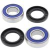 Boss Bearing 41-6282B-8J4-A-7 Front Wheel Bearings and Seals Kit for Suzuki GSX1300 B-KING 2008-2009 view 1