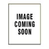 Dill 1048 TPMS Sensor (315 MHz) view 1