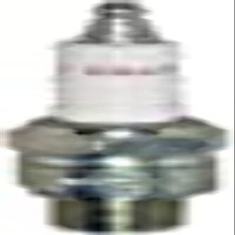 Spark Plugs